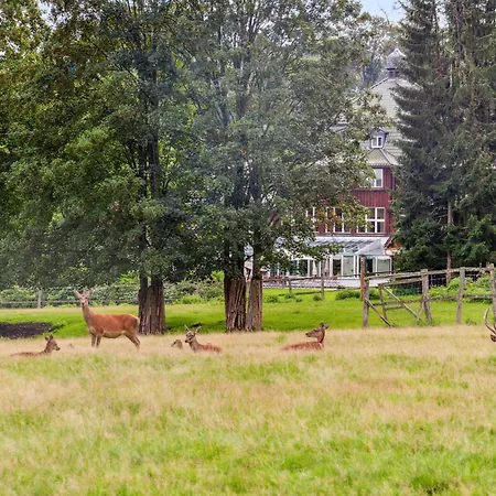 Cozy In Oberharz With Kitchen 펜션