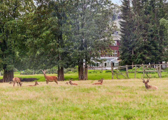 Cozy In Oberharz With Kitchen Holiday home
